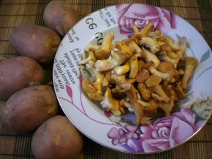 картофель и лисички
